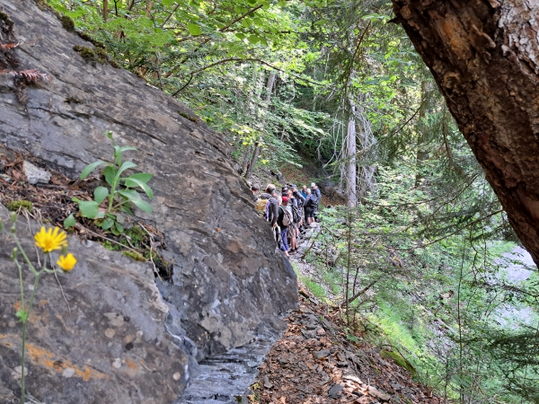 Sentier des Gardes et des Harkis