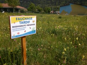 Fauchage tardif