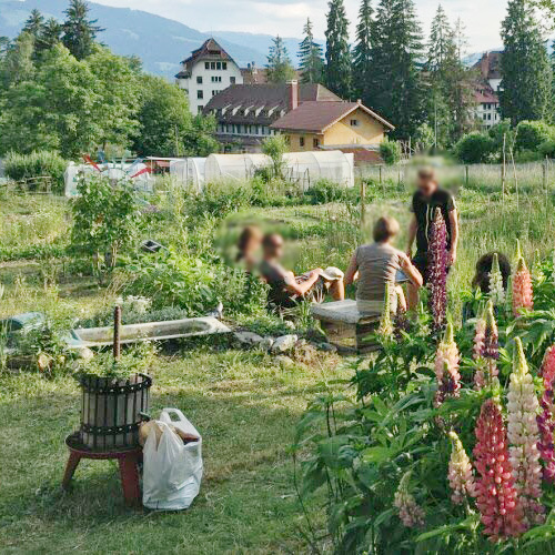 Les jardins partagés "Les jardins des Palabres"